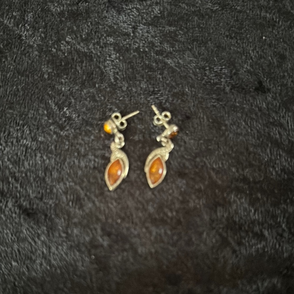 Elegant Silver and Orange Earrings